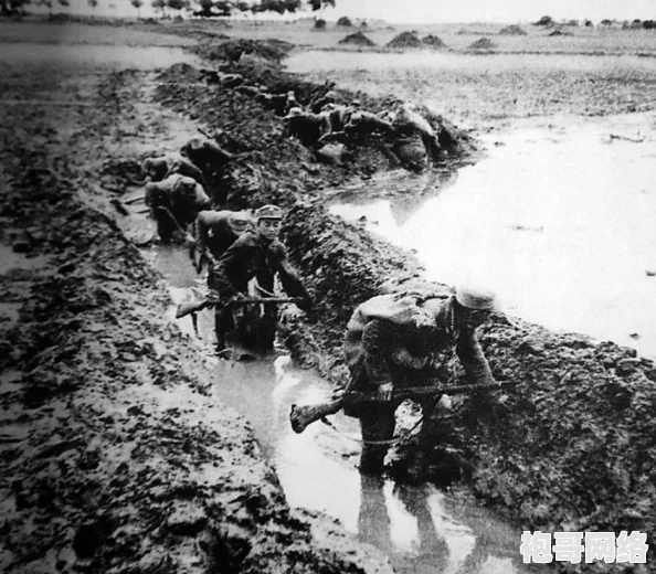 攻城三国阵法提升攻略：三国志14系统详解与战术爆料教程