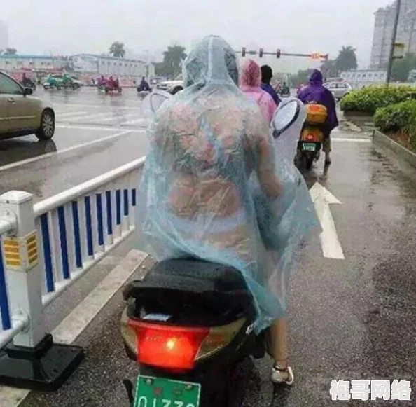色鬼导航：最新动态揭示了平台功能升级，用户体验显著提升，新增多项实用工具和安全措施